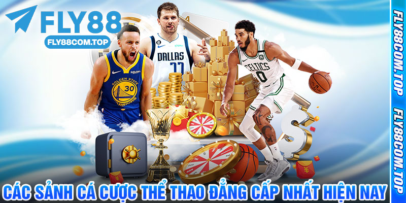Các Sảnh Cá Cược Thể Thao Đẳng Cấp Nhất Hiện Nay